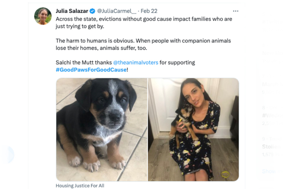 Twitter users have continued to share the hashtag #GoodPawsForGoodCause to bring attention to housing rights and inspire action to help pass legislation.