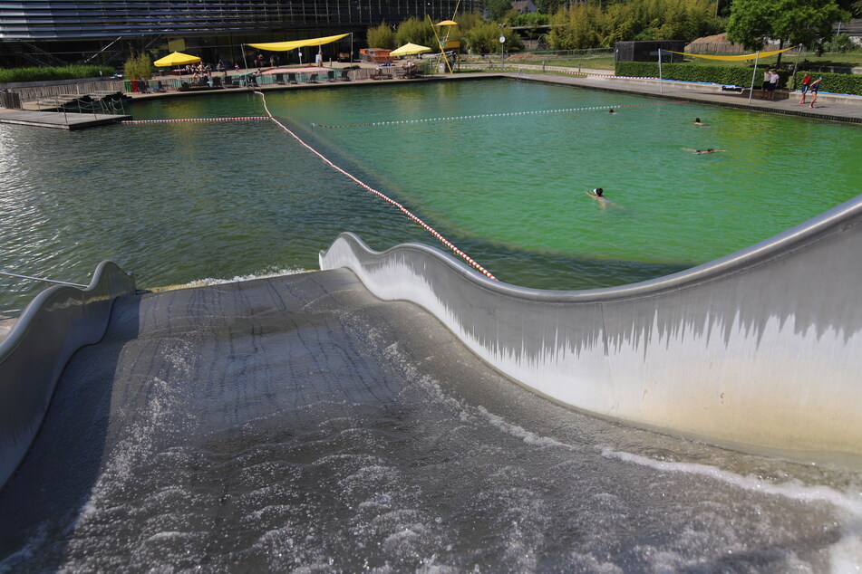 Der Naturbadeteich im Lentpark ist eines von zwei Becken in Köln, welches nicht beheizt wird.