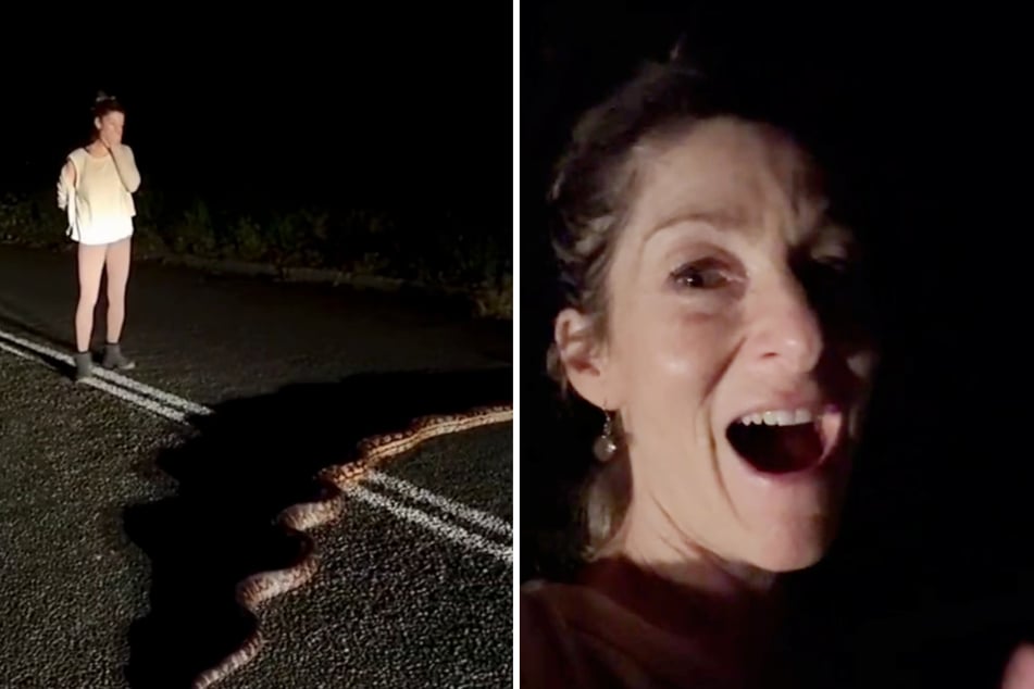 Kat Finnerty ist außer sich, als sie begreift, was da vor ihr liegt. Gefilmt wurde sie etwa 15 Minuten nach ihrer Entdeckung von einer herbeigerufenen Freundin.