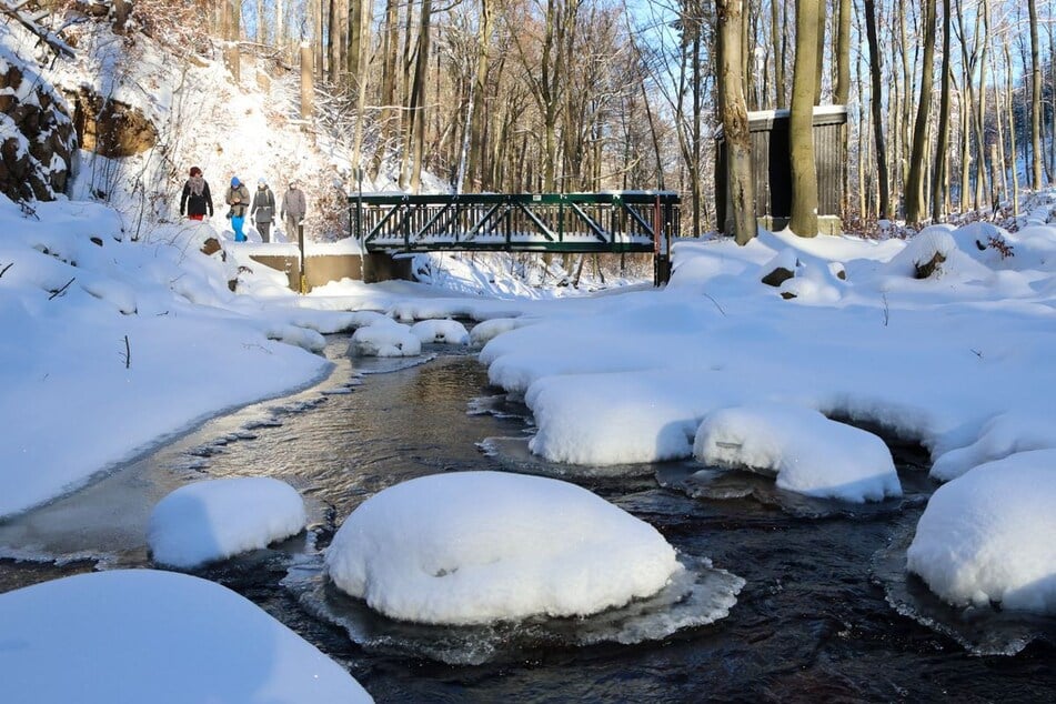 Zehn Zentimeter Neuschnee: Hier wird's noch mal richtig Winter