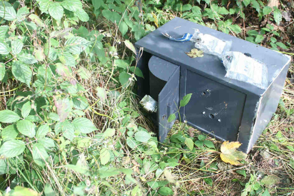 Der Tresor lag einsam und verlassen im Wald.