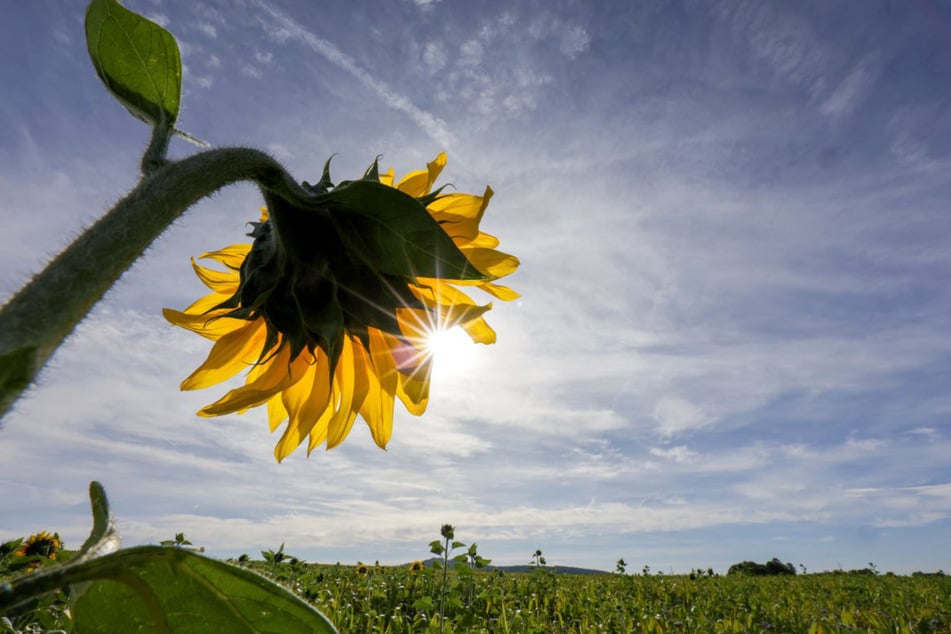 Im Südwesten kommt der Sommer zeitweise zurück. Es wird warm am Donnerstag!