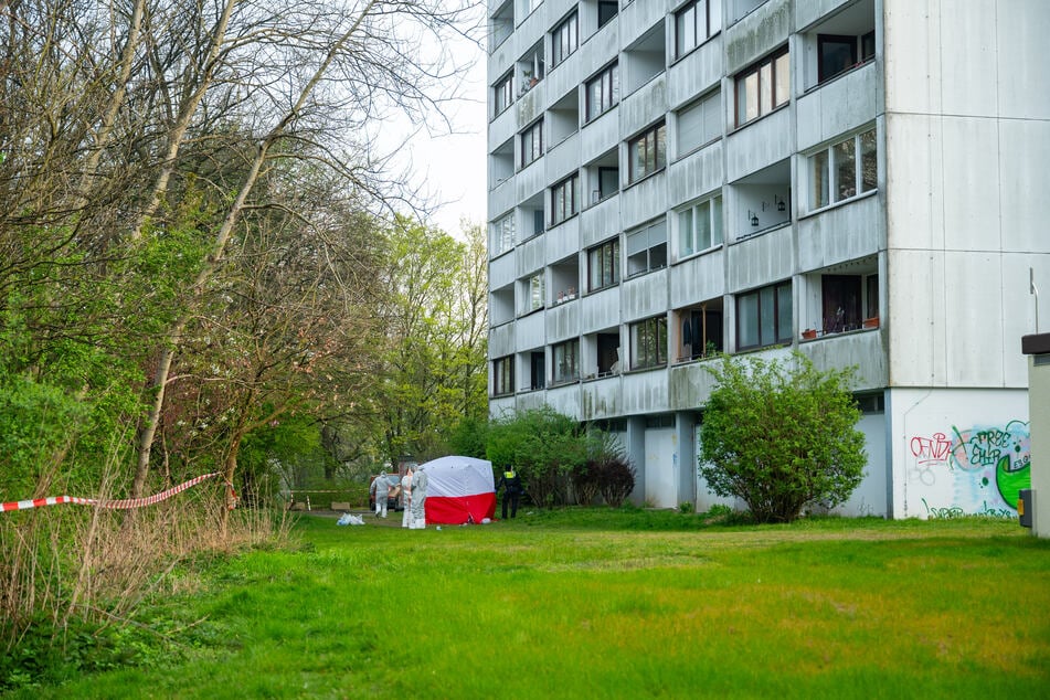 Der 15-Jährige verlor den Halt und stürzte von dem Balkon.