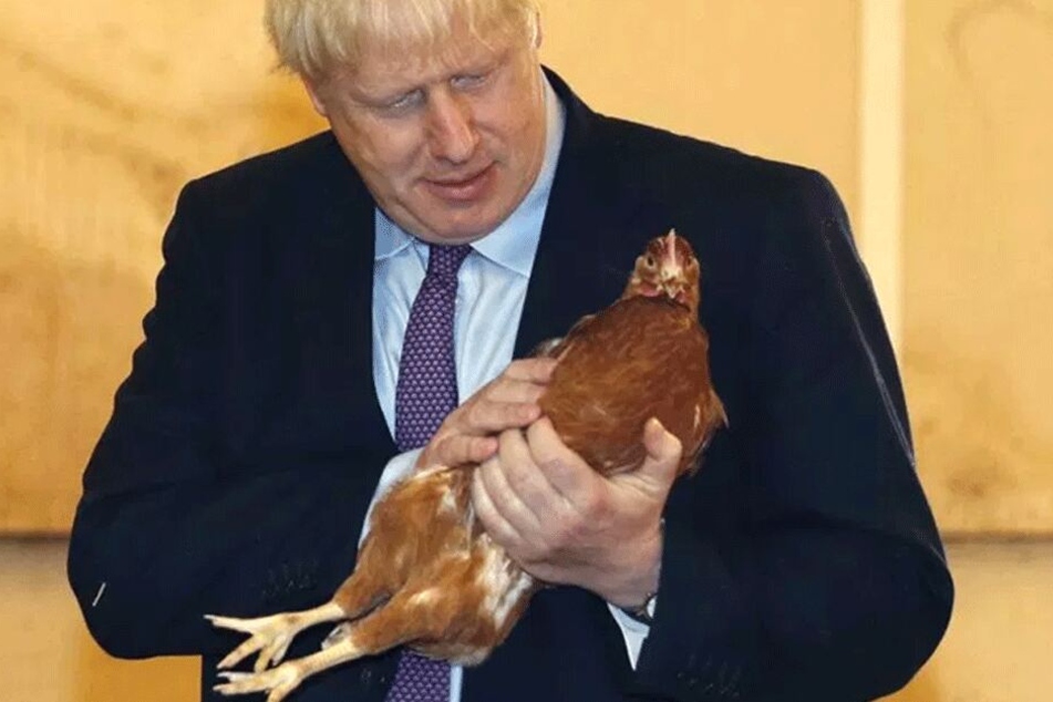 Der britische Premier Boris Johnson hält ein Huhn in den Händen.
