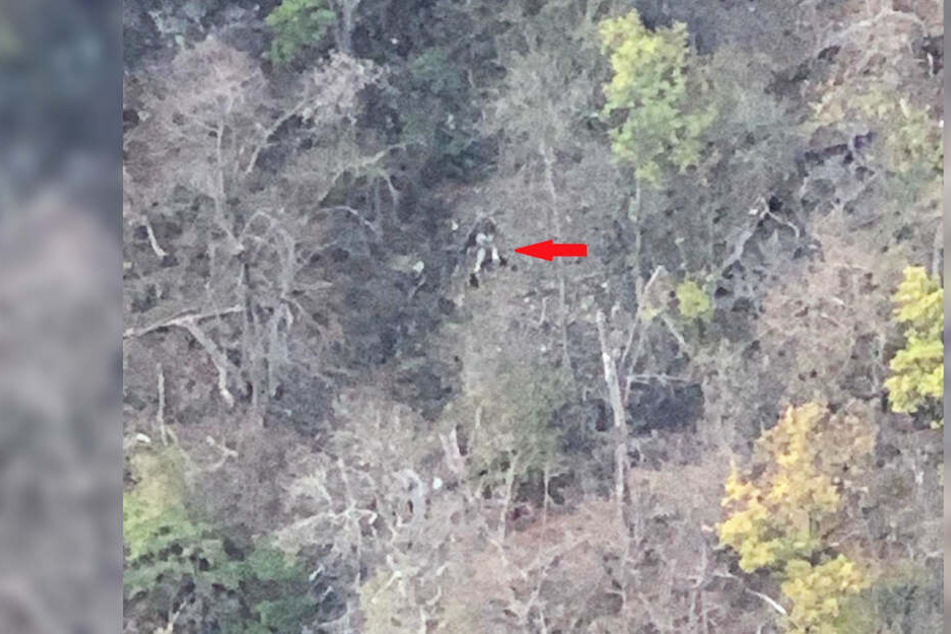 Was aussah, wie eine verunglückte Person stellte sich als umgestürzter Baum heraus.