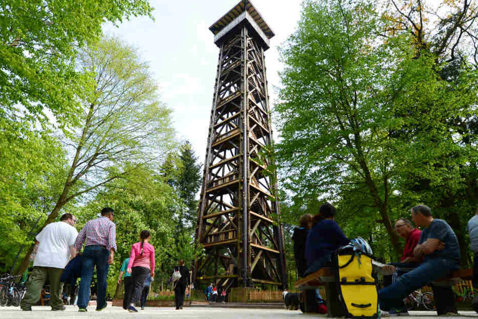 Das Archivbild aus dem Jahr 2014 zeigt den Goetheturm wie er ursprünglich aussah.