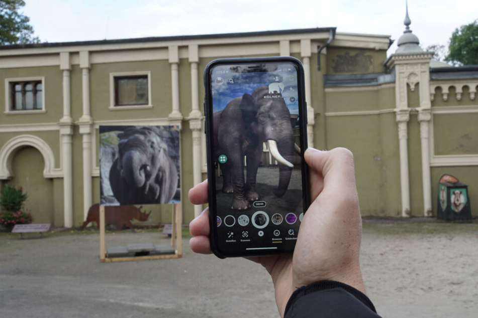 Durch die App werden leere Gehege plötzlich mit "lebendigen" Tieren gefüllt.