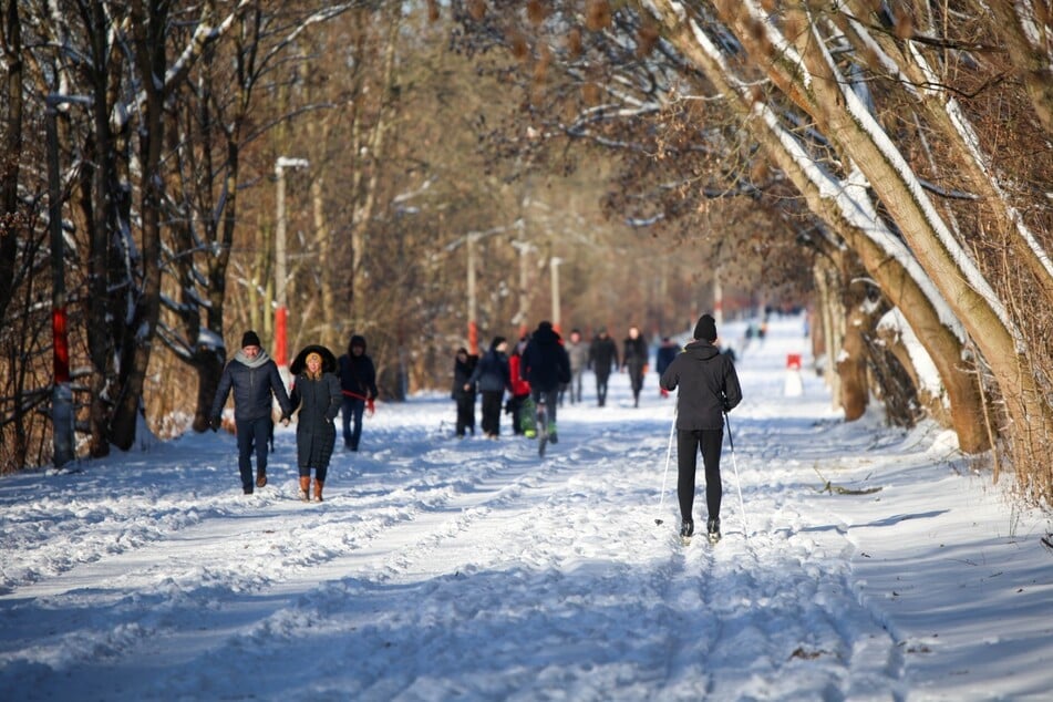 Für Ski-Langlauf musste man an diesem Wochenende nicht in die Berge reisen.