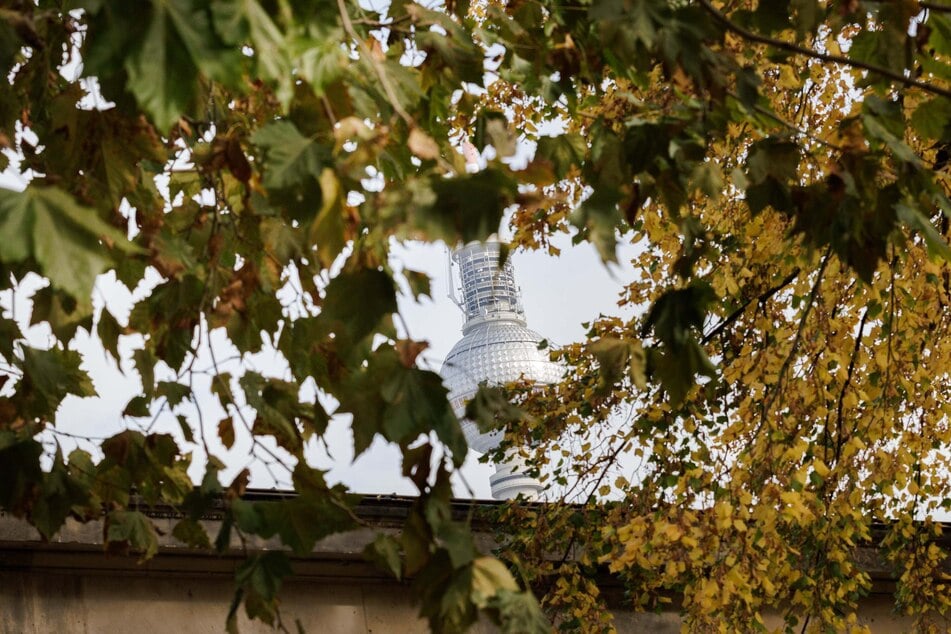 In Berlin hat der Herbst Einzug gehalten. Bis zum Wochenende bleibt es trist aber mild. (Symbolbild)