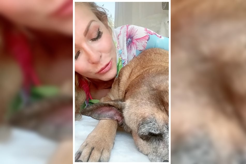 Vor wenigen Wochen hatte Sonya bei Funny einen Knoten in der Pfote entdeckt.