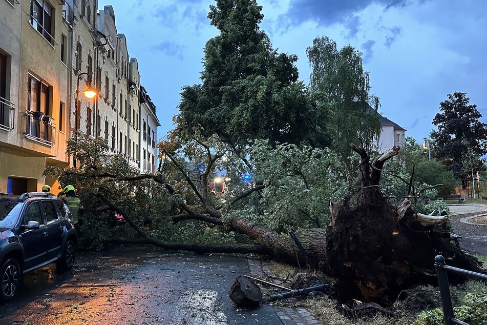 In Gera waren wegen des Unwetters Bäume umgestürzt. Die Feuerwehr beseitigte die Schäden.