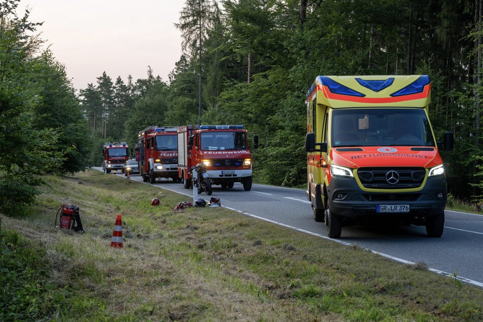 Auf der S132 kam es am Donnerstagabend zu einem Wildunfall.