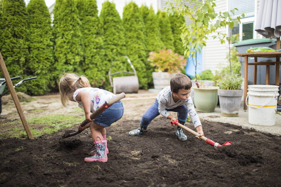 Kinderarbeit? Eher ein frühes Heranführen an die Wunder der Natur.