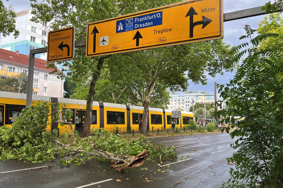 ... und Straßen gefallen. Davon waren teilweise auch die Berliner Verkehrsbetriebe betroffen.