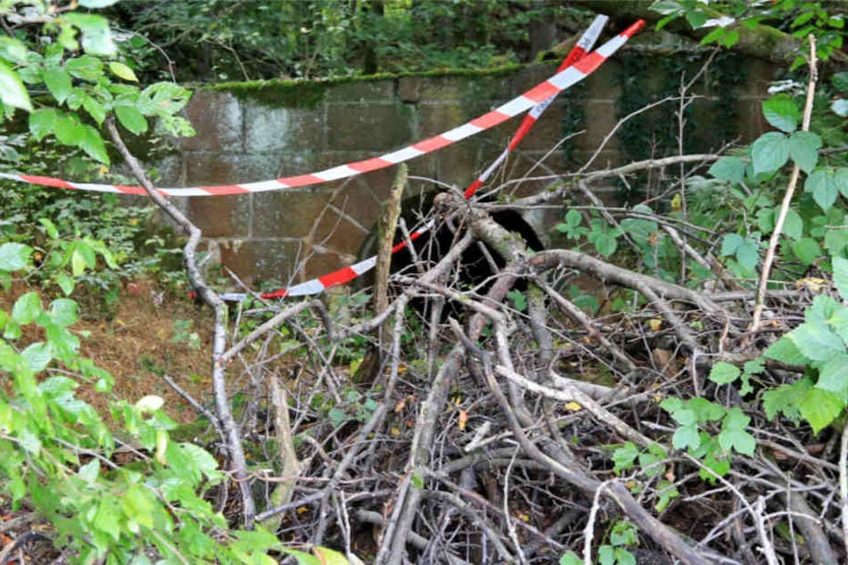 Bei dieser Autobahnruine stießen die beiden Geocacher auf die Knochen.
