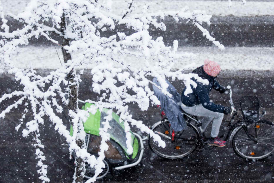 Schnee am 31. Januar 2019 in Köln.