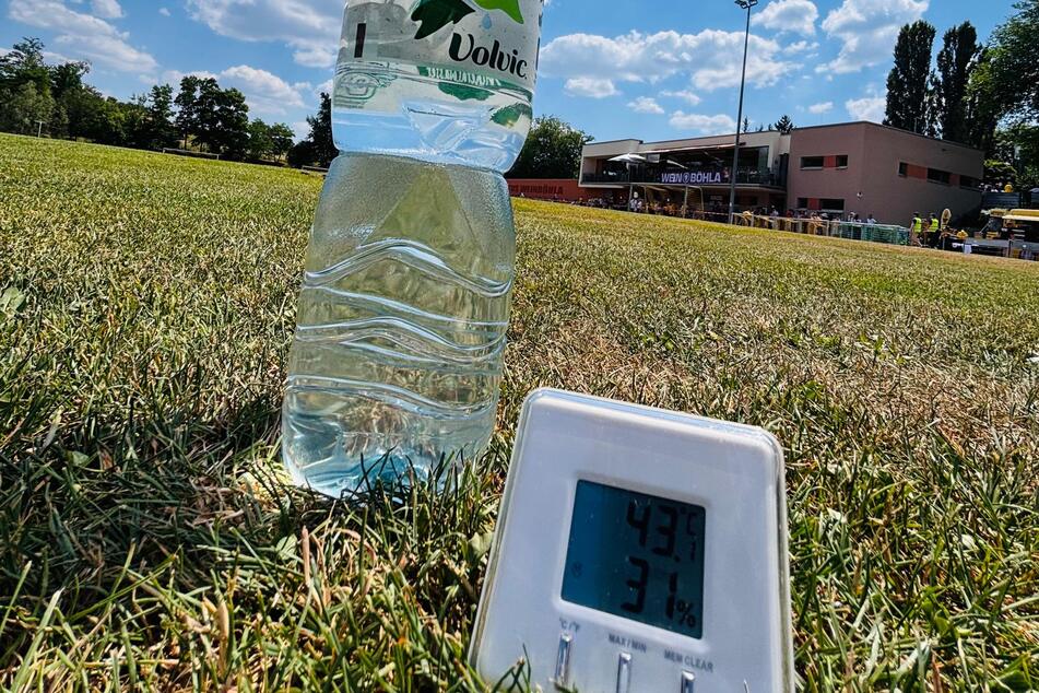 Auf dem Rasen herrscht eine Temperatur von 43,1 Grad - irre heiß!