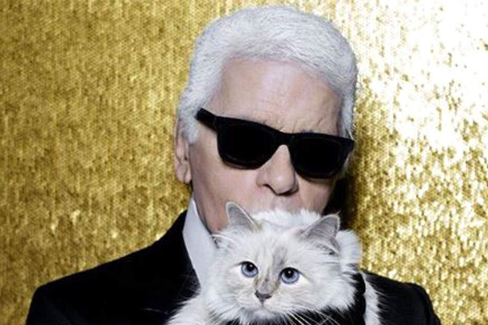 Karl Lagerfeld (†85) und Choupette waren unzertrennlich.
