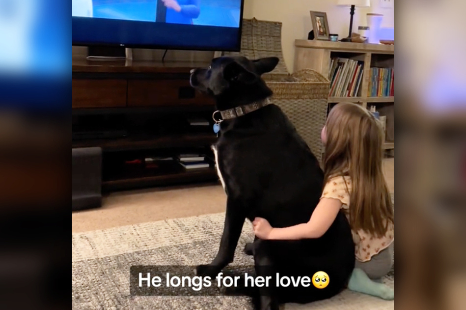 So süß: Hund Bosco und die Tochter des Hauses sind offenbar die allerbesten Freunde.