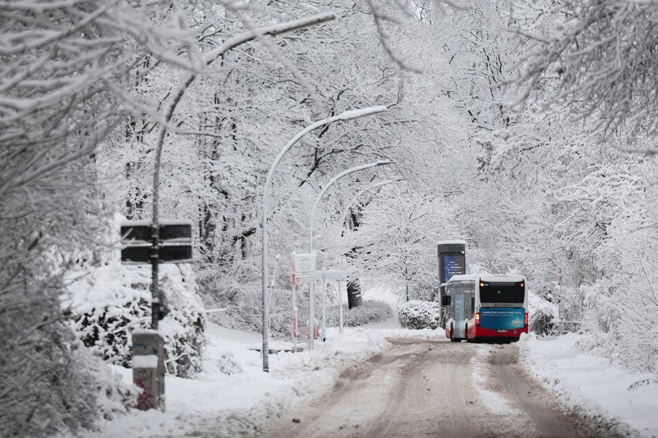 Winterdienst muss Unterstützung anfordern: Hamburg versinkt im Schnee