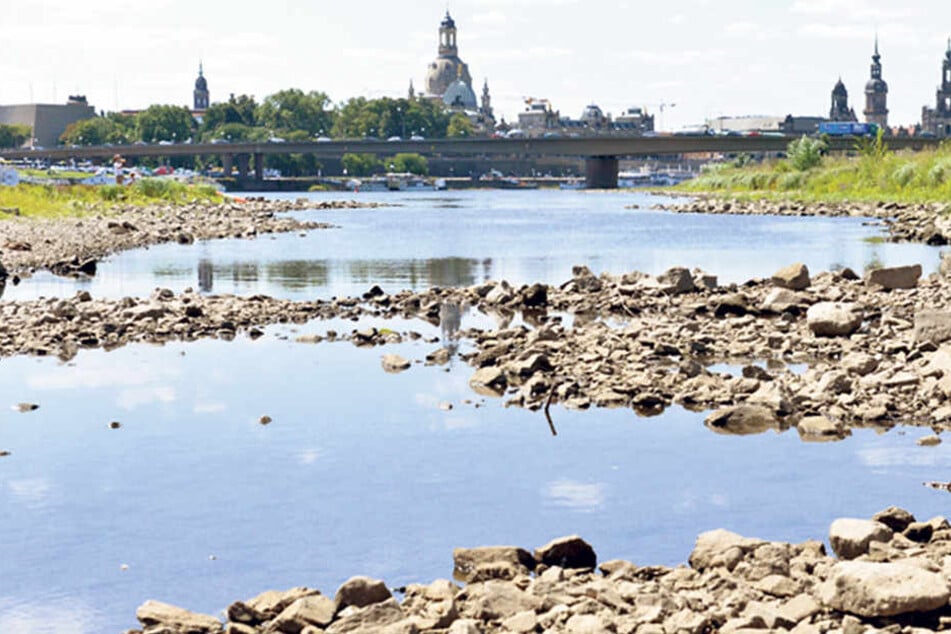 Um 70 Zentimeter dümpelte der Pegel der Elbe gestern in Dresden.