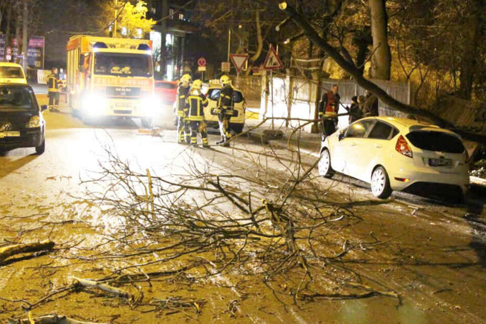 Vorher durchbrach der Baum noch einen Zaun, ehe er auf dem Auto landete.