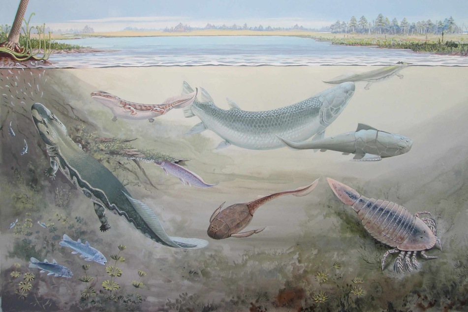 When did ancient vertebrates leave the oceans for dry land? New evidence tweaks the timeline!