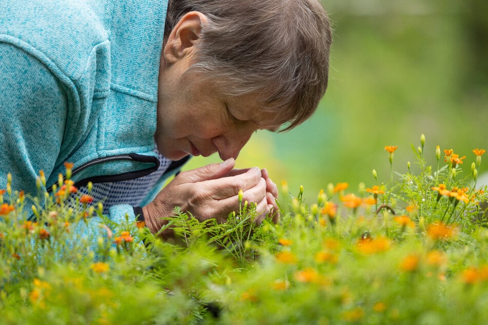 Kräuterpädagogin Marion Krause (64) ist selbst sehbehindert, genießt den Duft der Gewürztagetes.