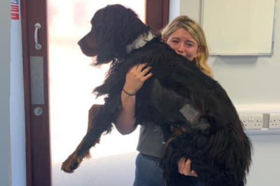 Abi O'Brien mit ihrem Hund Bewley - kurz bevor er starb.