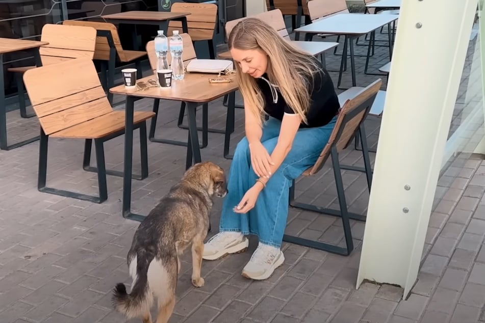 Olena nimmt Kontakt zu Streunerin Amanda auf.