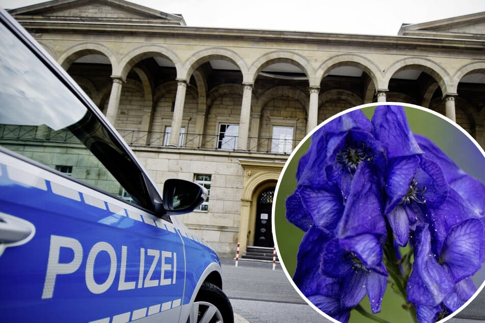 Mordkomplott mit Bohnen und Speck: Frauen wegen Serie von Giftanschlägen vor Gericht