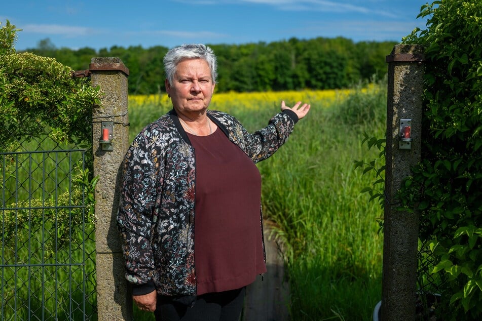 Das Grundstück von Katrin Scherwenk (59) liegt nur wenige Meter neben dem geplanten Solarpark.