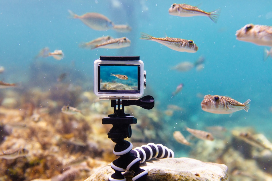 Unterwasserkameras: Top 5 Modelle für den perfekten Schnappschuss