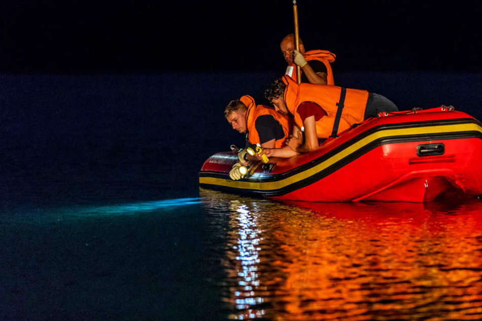 In der Nacht zum Dienstag suchten Polizei, Feuerwehr und Wasserwacht nach einem jungen Mann in Pirna.