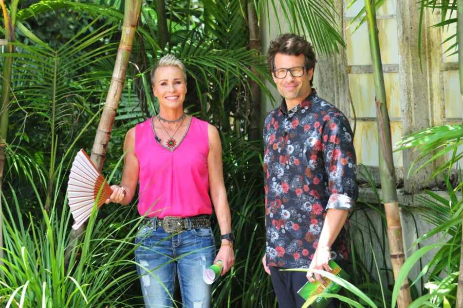 Sonja Zietlow und Daniel Hartwich moderieren auch die 14. Staffel.