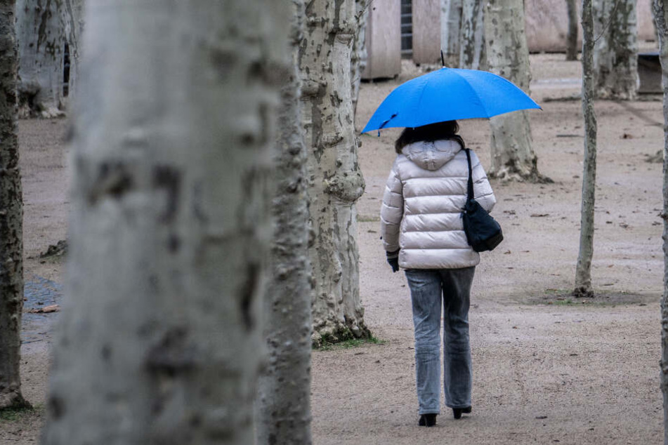 Am Montag wird nur ein wenig Regen erwartet (Symbolfoto).