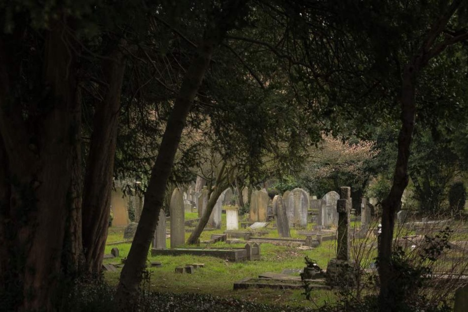 18 Grabstätten auf dem Friedhof Halle-Trotha sind verwüstet worden. (Symbolbild)