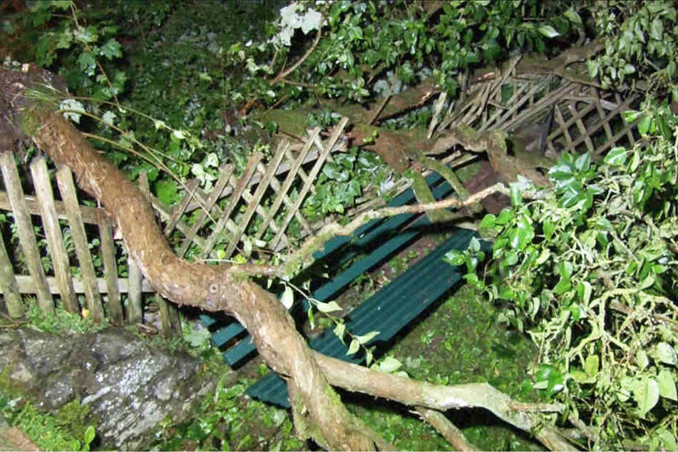 Die heftigen Sturmböen brachten zahlreiche Bäume zum Einstürzen.