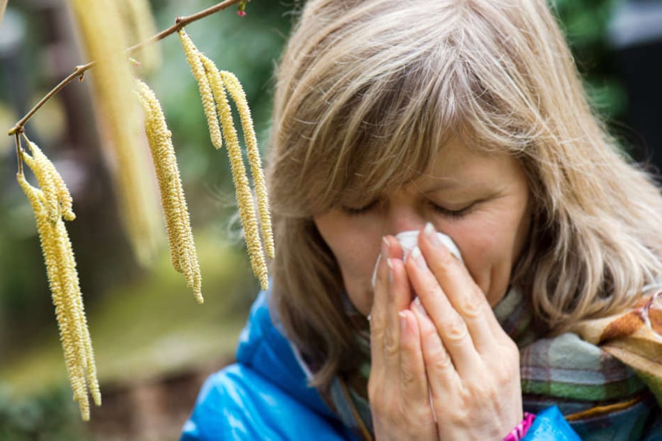 Die ersten Pollen fliegen in kleinen Mengen schon wieder durch die Luft. (Symbolbild)