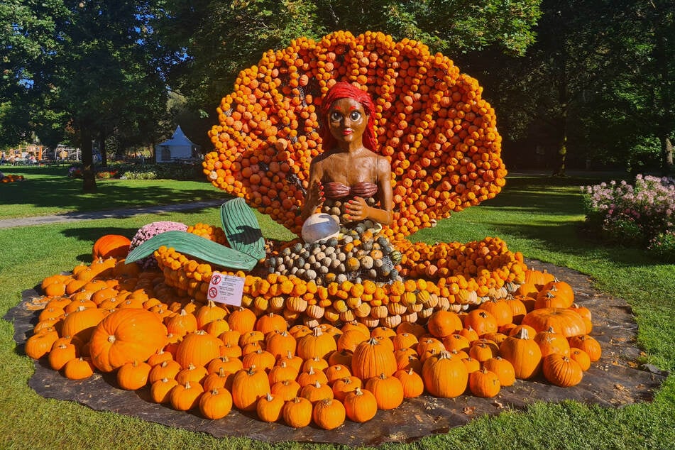 Tausende Kürbisse verwandeln den Schlosspark Lichtenwalde in ein zauberhaftes Märchenland.