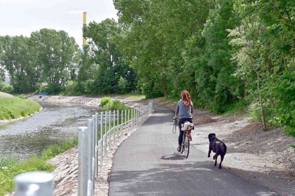 Radeln entlang der Chemnitz: Auf dem Abschnitt zwischen Markersdorf und Diethensdorf können Fahrradfreunde erst 2020 starten.