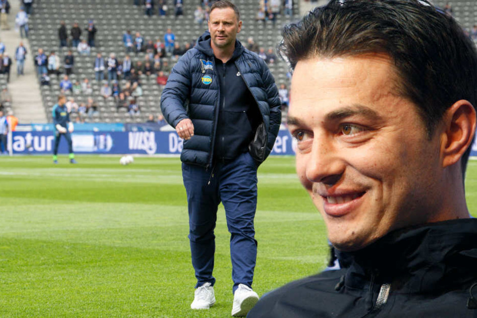 Ante Covic wird der Nachfolger von Pal Dardai? (Bildmontage)