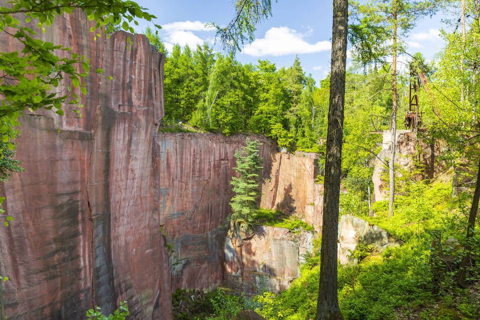 Der Porphyr-Lehrpfad auf dem Rochlitzer Berg hat sich zum Touristenmagneten entwickelt.