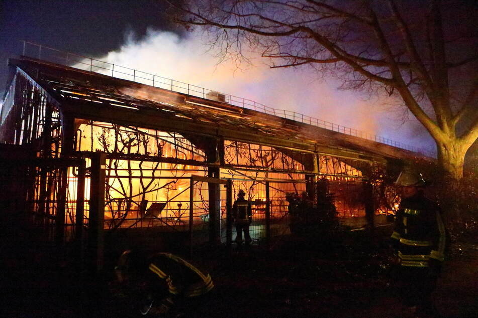 Ein Jahr nach dem Brand des Affenhauses in Krefeld am 1. Januar 2020 ist das Strafverfahren nun beendet.