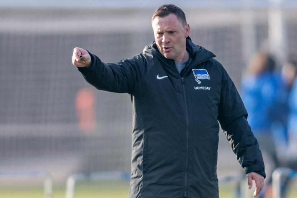 Pal Dardai (44) zeigt im Training die Richtung an. Gegen Eintracht Frankfurt will der Hertha-Coach offensiv agieren.