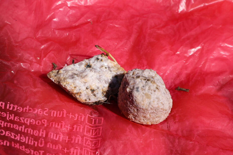 Diese giftigen Fleischbällchen wurden am Elbufer entdeckt.