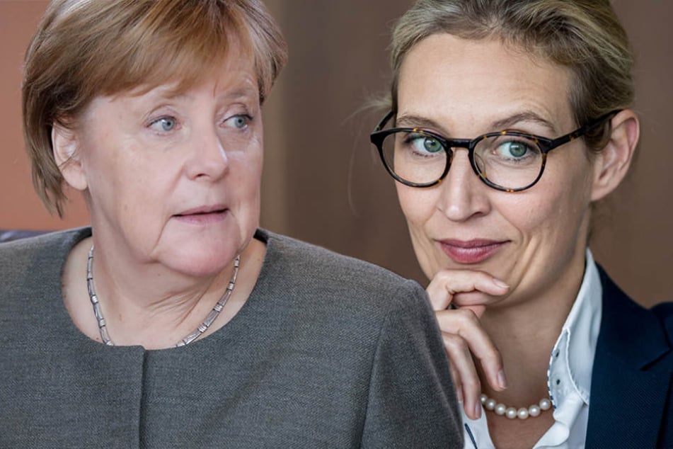 Von Angela Merkel (63) bis Alice Weidel (38) - auch für die Männer ist was dabei.