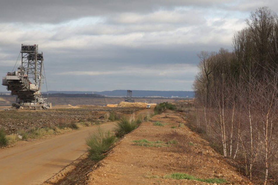 Ein Braunkohlebagger in der Nähe der Reste des Hambacher Forsts.