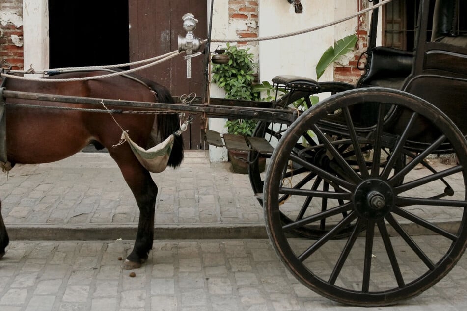 Das Gespann eines Kutschers kippt auf einem Feldweg im Landkreis Augsburg um. Der Mann gerät unter die Kutsche. Sein Zustand ist laut Polizei kritisch. (Symbolbild)