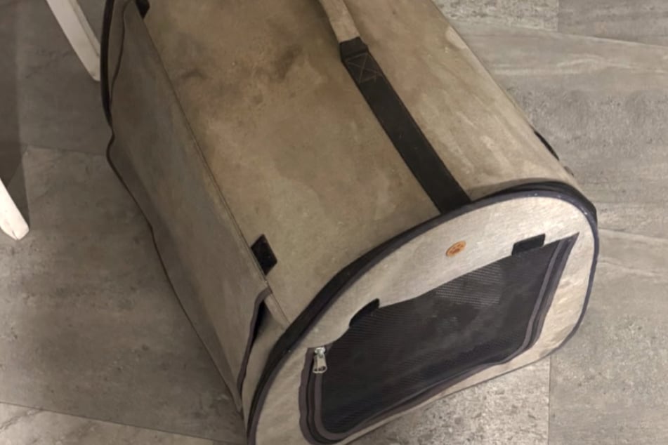 Jaká zbabělá akce: krabice byla prostě položena před brány útulku pro zvířata v Bergheimu.